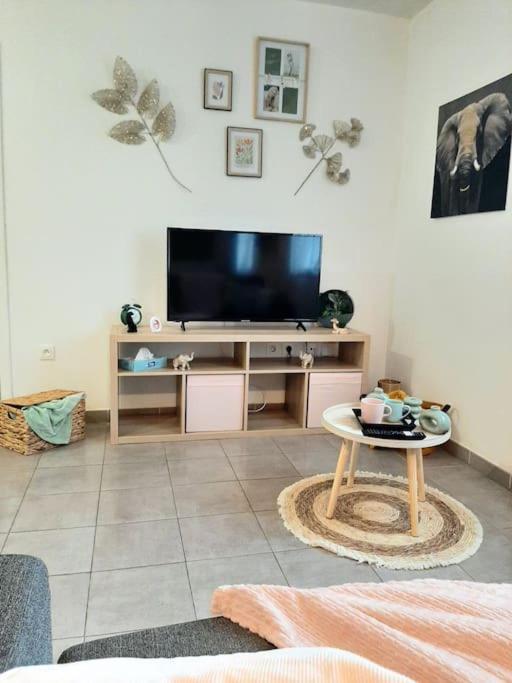 Proche Aeroport A Pied O' Jungle Apartment Tille
